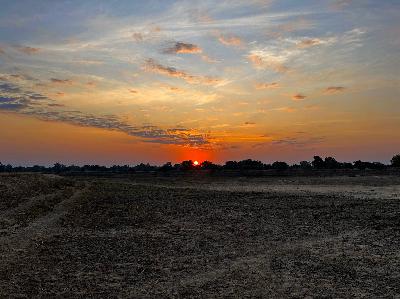 Stop Suffering: Uncover the Harsh Truth from Our Ancestors About Why We Struggle and How to Stop!