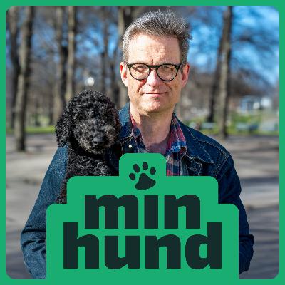 TRAILER – Min Hund, med Marina Schiptjenko