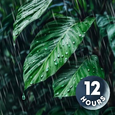 Rainforest Rain Sounds with Tropical Birds Singing! | 12 Hours