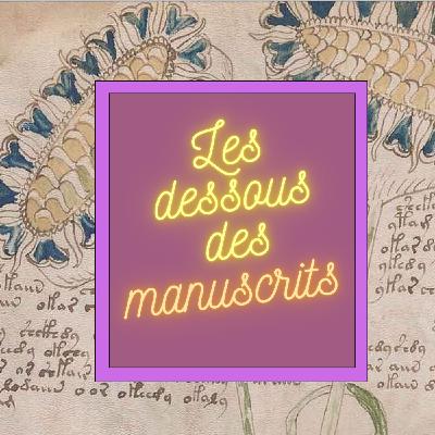 Le mystère du manuscrit de Voynich