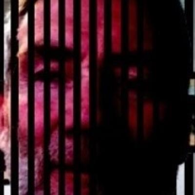 Prison Life - are escape tunnels futile?