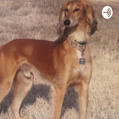 4/20/20 - TDP 2nd Ever Podcast; Introduction