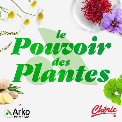 Rediffusion : Les conseils pharma de Léa : une cure de phytothérapie sur-mesure