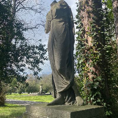 One minute in the Iveagh gardens, Dublin