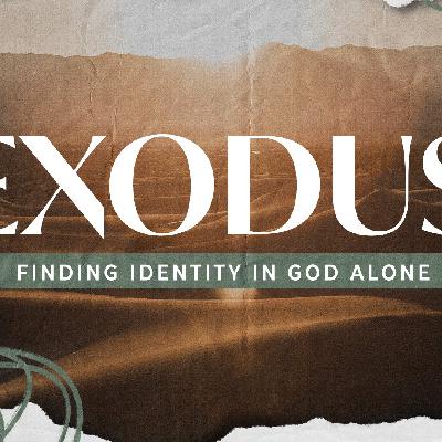 Exodus 8-10