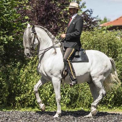 It's all about connection