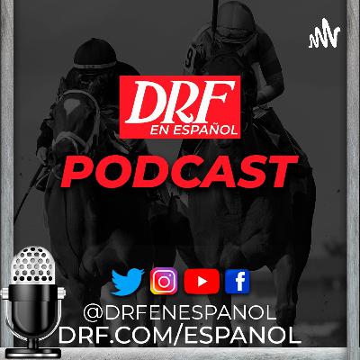 Reporte de Entrenamientos - Abril 01