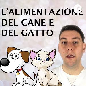 VOMITO nel cane e nel gatto: perché lo STOMACO espelle cibo?