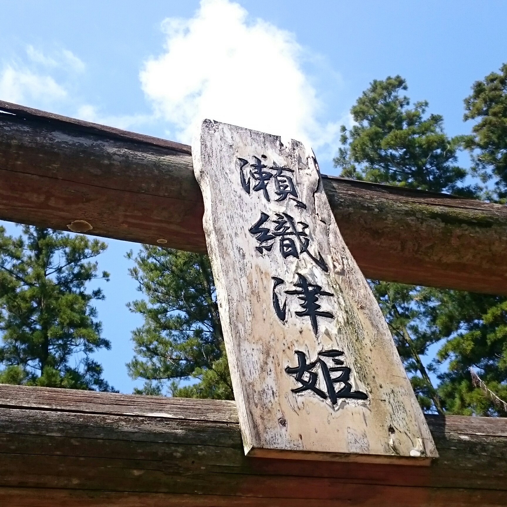 その176 瀬織津姫神社！ episode artwork