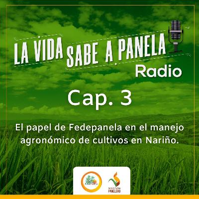 Capítulo 3 - El papel de Fedepanela en el manejo agronómico de cultivos en Nariño Capítulo 3 - El papel de Fedepanela en el manejo agronómico de cultivos en Nariño