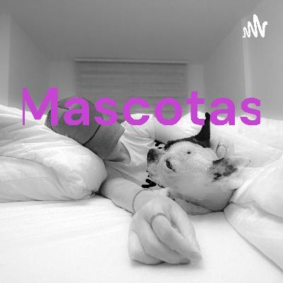 Mascotas