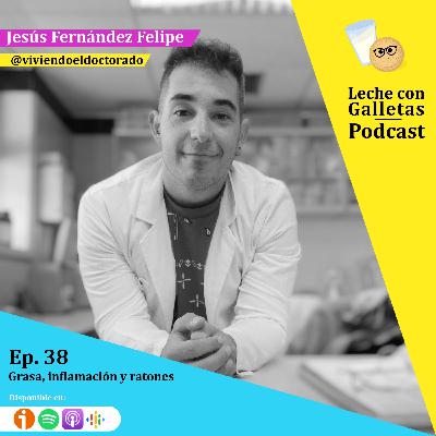 Ep. 38 Grasa, inflamación y ratones