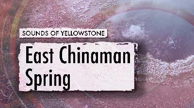 East Chinaman Spring — Sounds of Yellowstone (ASMR, Sleep, Concentration)
