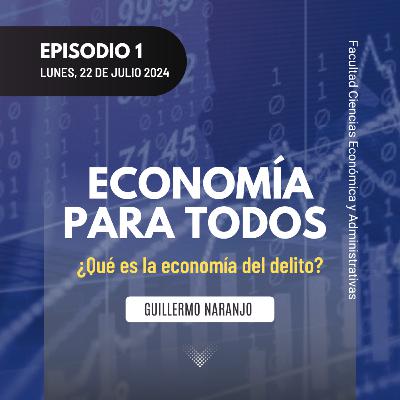 ¿Qué es la economía del delito?