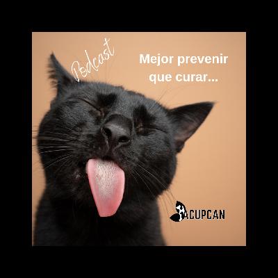MEJOR PREVENIR QUE CURAR