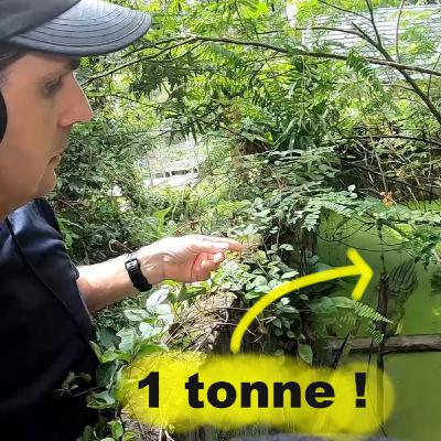 [Ep20] Les crocodiles mangeurs d'hommes