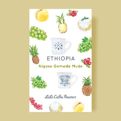 Ethiopia Niguse Gemeda Mude Natural / エチオピア ニグセゲメダ ムデ ナチュラル