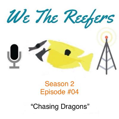 Chasing Dragons