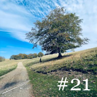 #21 - Prendre le temps