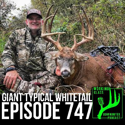 747 GIANT TYPICAL WHITETAIL