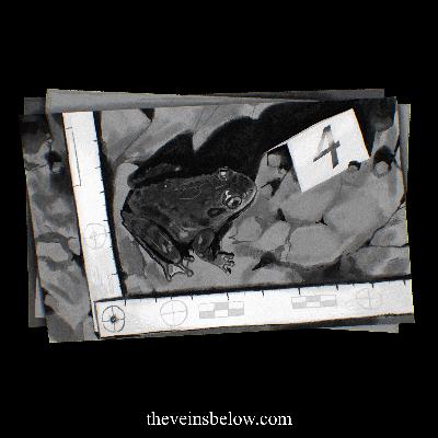 001 - Wilderness Survival Briefcase
