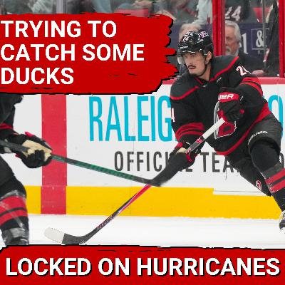 Trying to Catch a Duck in a Carolina Hurricane Trying to Catch a Duck in a Carolina Hurricane