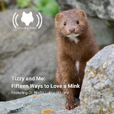 Tizzy and Me: Fifteen Ways To Love A Mink feat. Dr. Nadja Lubiw-Hazard