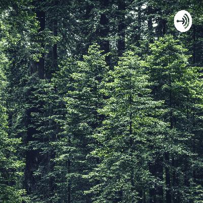 The Evaluation Of Terrestrial Ecological Factors And Animal Distribution