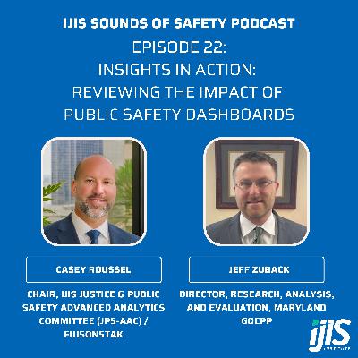 Insights in Action: Reviewing the Impact of Public Safety Dashboards Insights in Action: Reviewing the Impact of Public Safety Dashboards