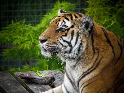 From Bikes to Bytes - Most of my day in less than 10 mins