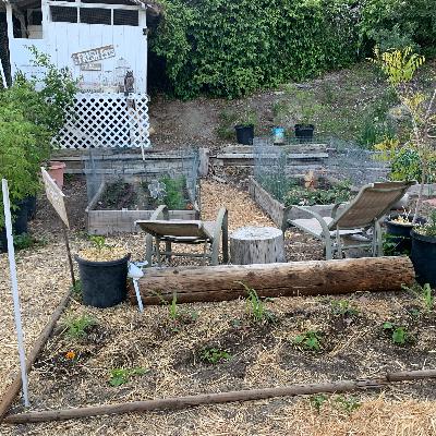 Grow your food, Escape the matrix