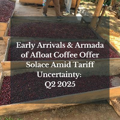 Early Arrivals & Armada of Afloat Coffee Offer Solace Amid Tariff Uncertainty: Q2 2025