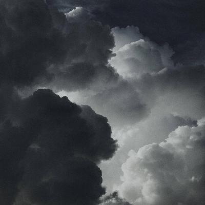 Klimakrise - Soziologe: Es droht der gesellschaftliche Zusammenbruch