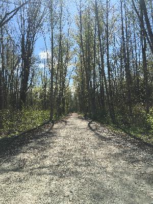 Orientation Orientation