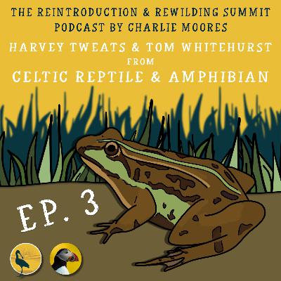 Episode 3: Celtic Reptile & Amphibian Episode 3: Celtic Reptile & Amphibian