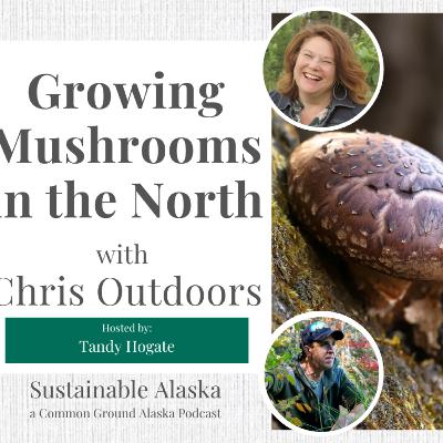 Growing Mushrooms in the North - With Chris Outdoors Growing Mushrooms in the North - With Chris Outdoors