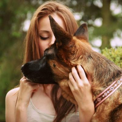 Porque tose tu perro Porque tose tu perro