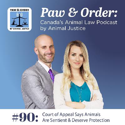 #90: Court of Appeal Says Animals Are Sentient & Deserve Protection