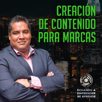 Creación de contenido para marcas