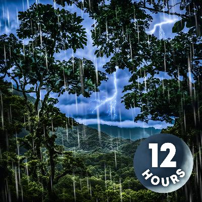 Sleep to Heavy Rain & Epic Thunder | 12 Hour Sleep to Heavy Rain & Epic Thunder | 12 Hour