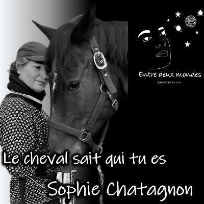 Entre deux Mondes - Interview - Le cheval sait qui tu es, Sophie Chatagnon