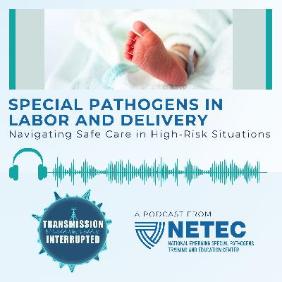 Special Pathogens in Labor and Delivery: Navigating Safe Care in High-Risk Situations