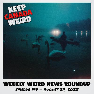 177 - 2025/08/29 - Justin Bieber Impersonator, The Asylum Seeker, Missing Swans, and Banning Norm