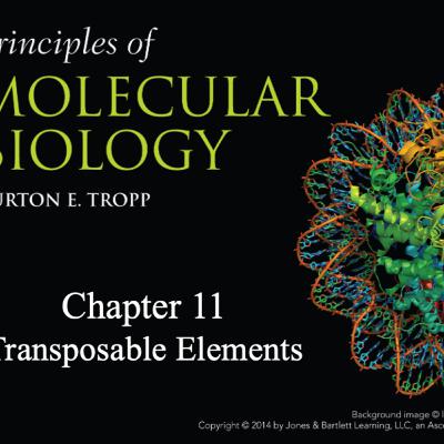 Transposable elements Tropp Chapter 11