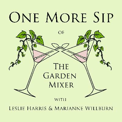 #15 1/2 One More Sip: Our Listeners Are Smarter Than We Are