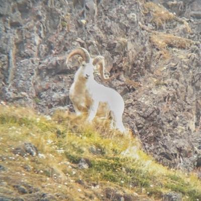 ALASKA PART 1