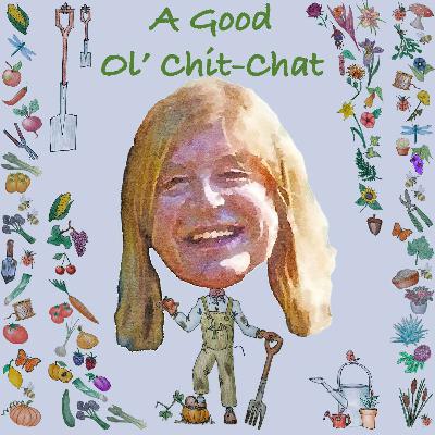 Ep64: A Good Ol' Chit-Chat With... Pat Havers