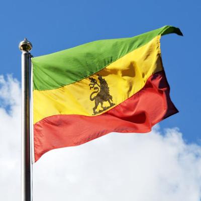 ‘Great service is in the DNA of Ethiopians. It’s such a great culture!’ ‘Great service is in the DNA of Ethiopians. It’s such a great culture!’
