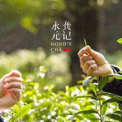 茶只是借口|春茶追早，谈谈背后人性的需求