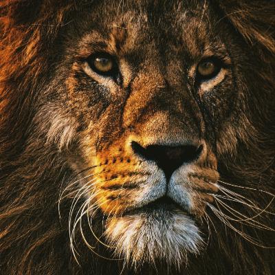 13. It's Not Easy (Motivational Speech) 13. It's Not Easy (Motivational Speech)